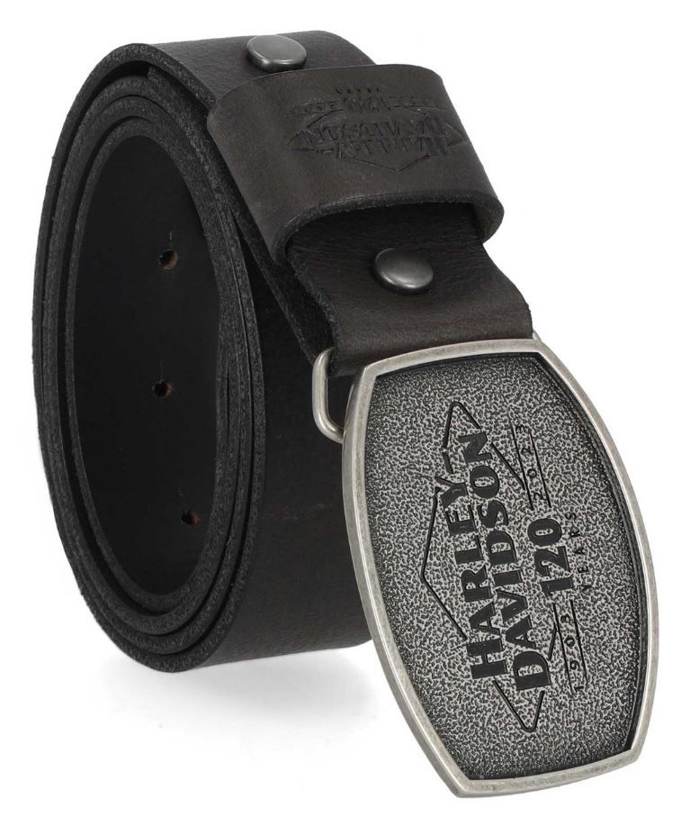 Harley deals davidson belt