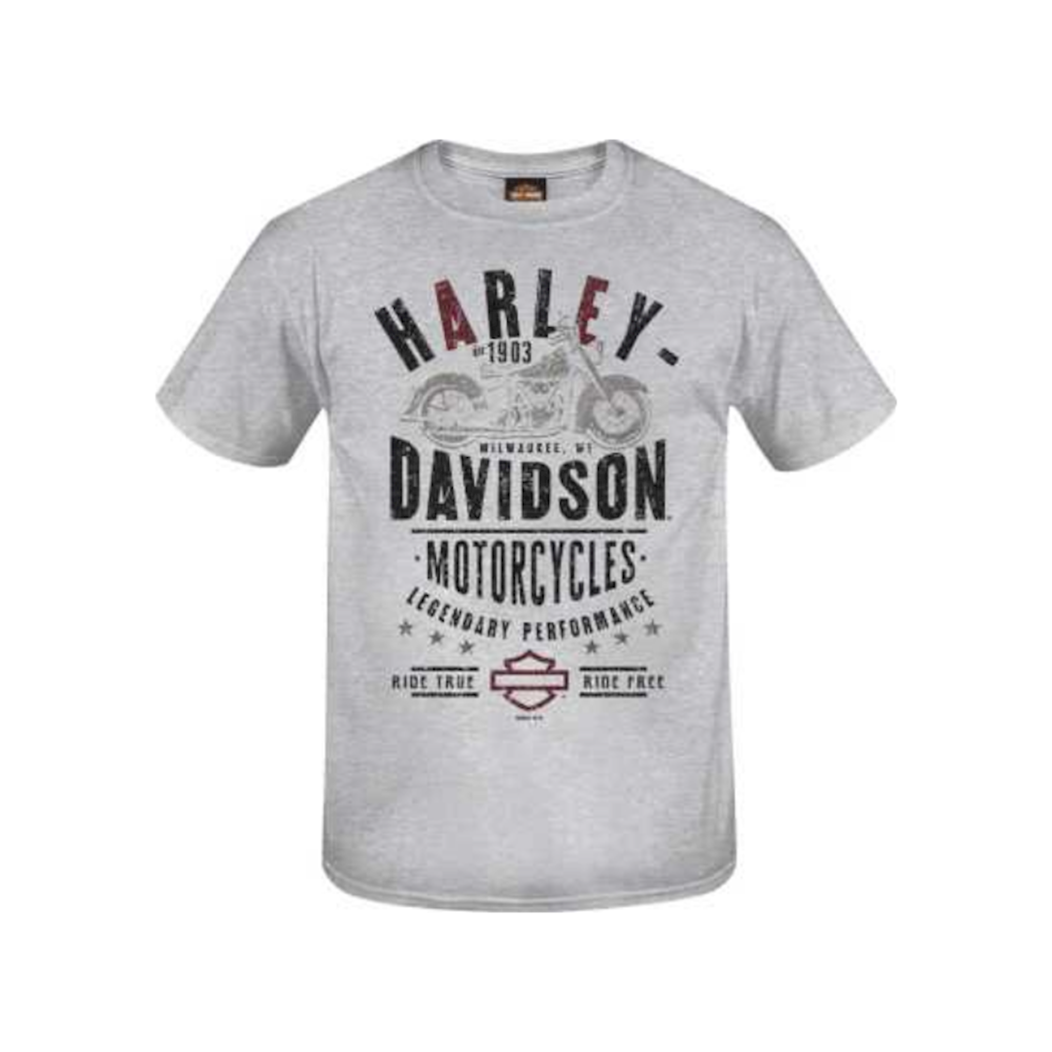 Harley Davidson PanHead Forever Tシャツ Lサイ R0042985-L - Harley-Davidson® Men's Panhead Label T-shirt, Grey